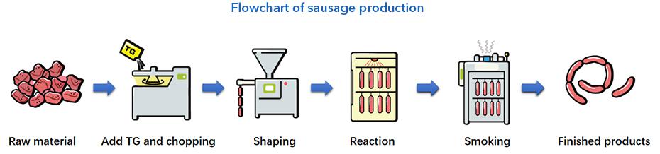 Metodi della transglutaminasi standard TG-B Sausage
